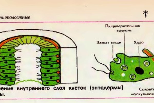 Ссылки даркнет